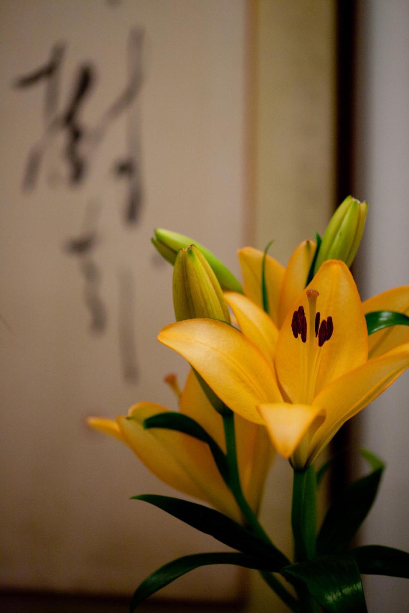 Ryokan Kimi Tokio